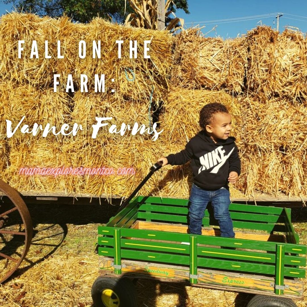 Fall On The Farm Varner Farms Mama Explores Montco