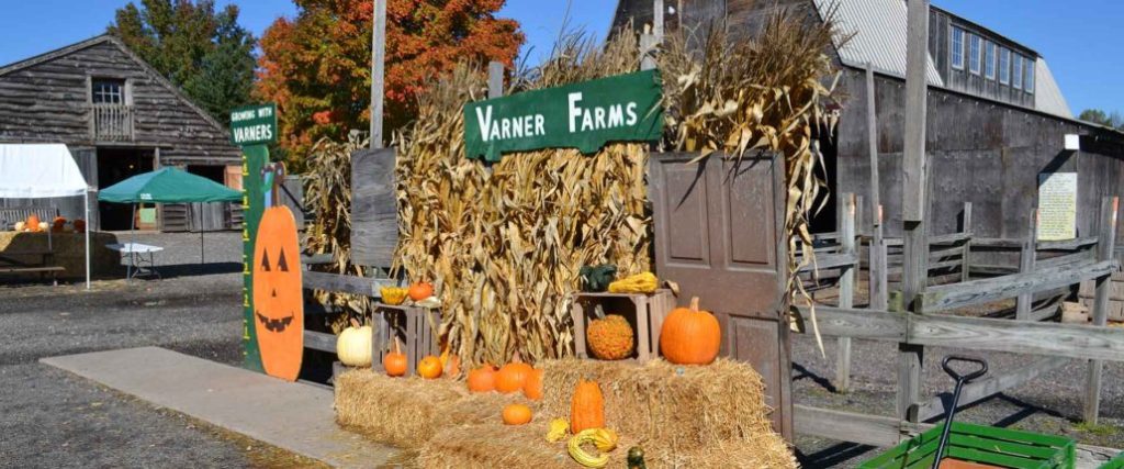 Fall On The Farm: Varner Farms | Mama Explores Montco