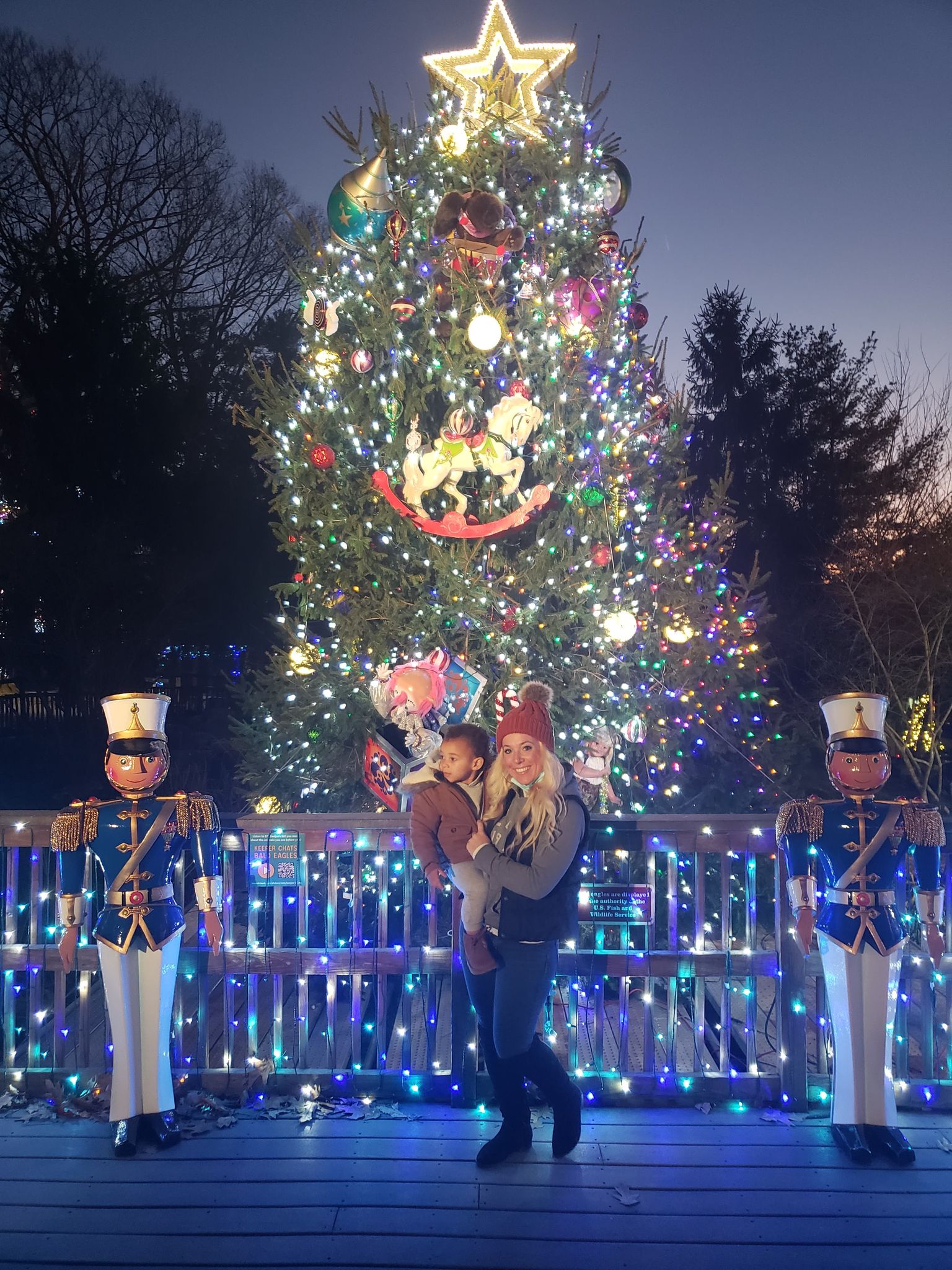 Lights, Animals and Christmas Cheer Elmwood Park Zoo Mama Explores